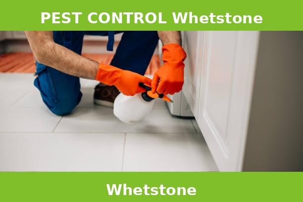 PEST CONTROL Whetstone